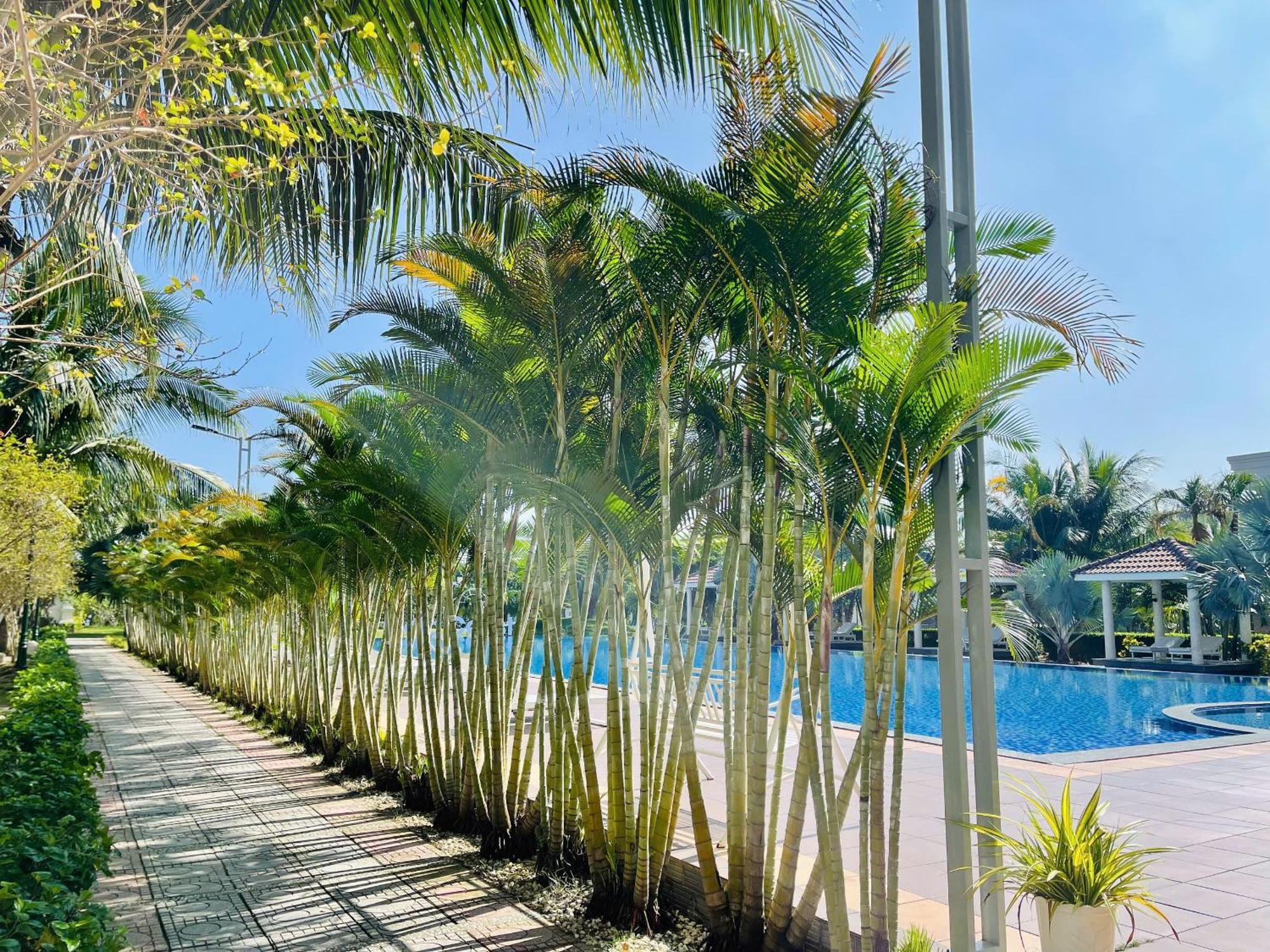 Gold Coast Hotel Resort & Spa Ντονγκ Χόι Εξωτερικό φωτογραφία